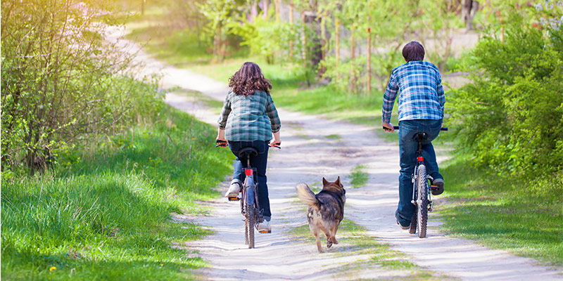 Träna tillsammans med din hund