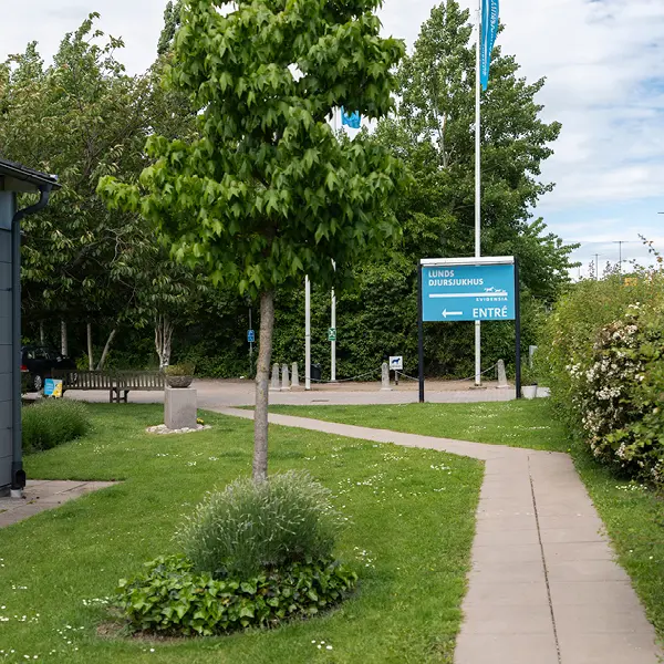 Priser hos Lunds Djursjukhus