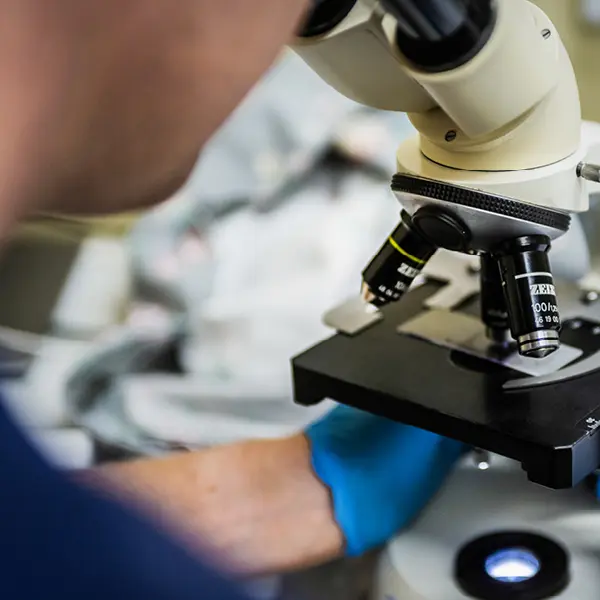 Laboratoriet på Varbergs Djurklinik