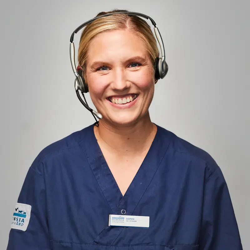 Veterinär Specialistdjursjukhuset Helsingborg