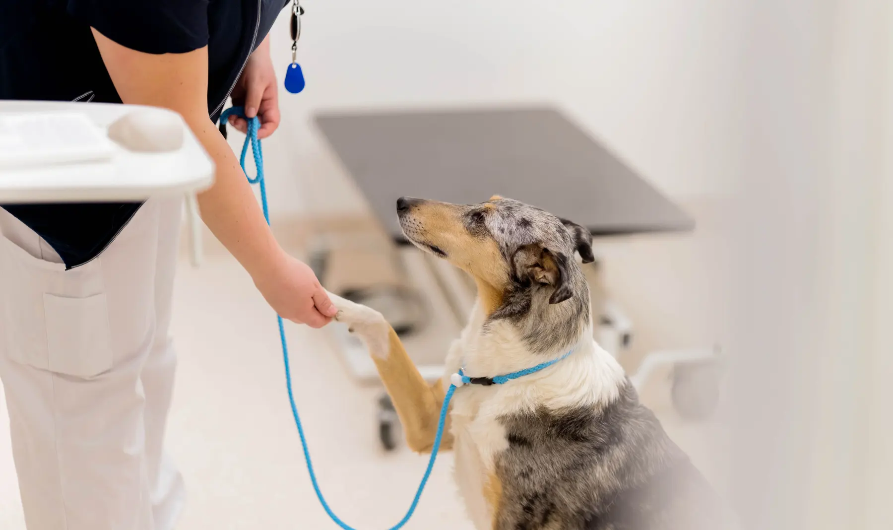 Östermalms Veterinärklinik