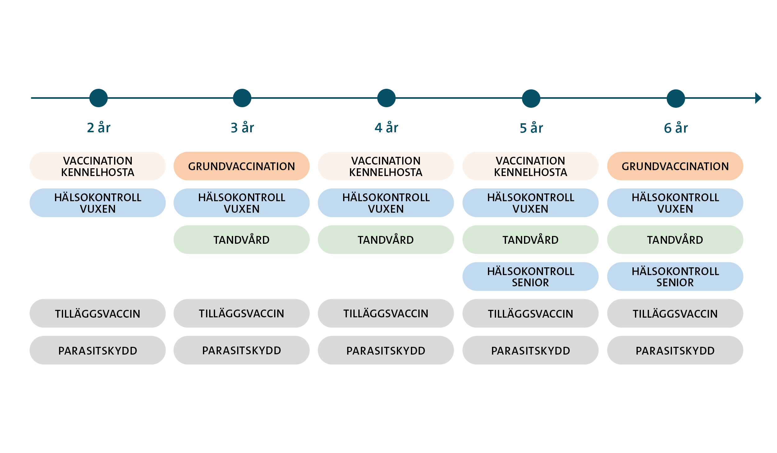 Hälsoguide vuxen hund