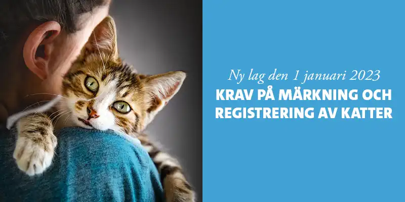 Evidensia Djursjukvård