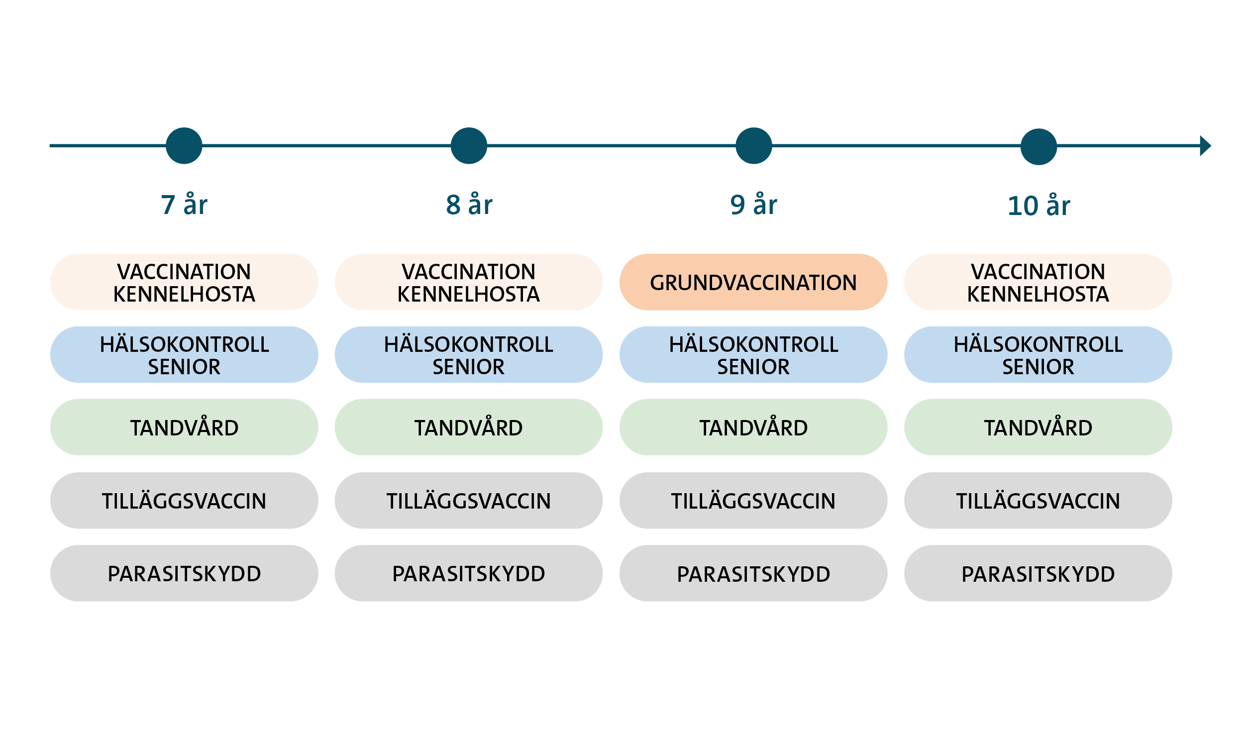 Hälsoguide senior hund