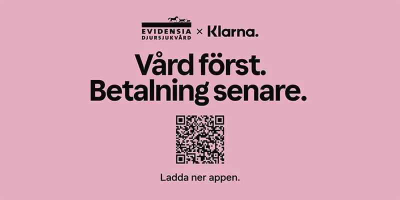 Evidensia Djursjukvård