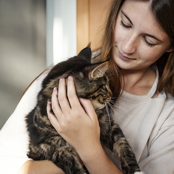 Söt kattunge i famn, gröna ögon som tittar rakt in i karmeran