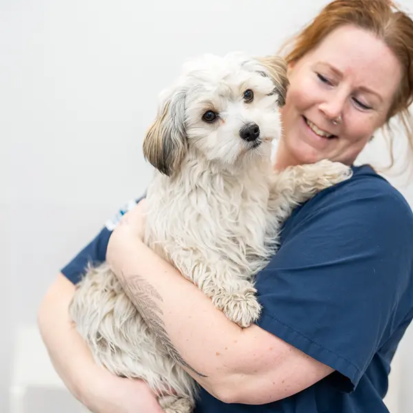 Veterinär Täby
