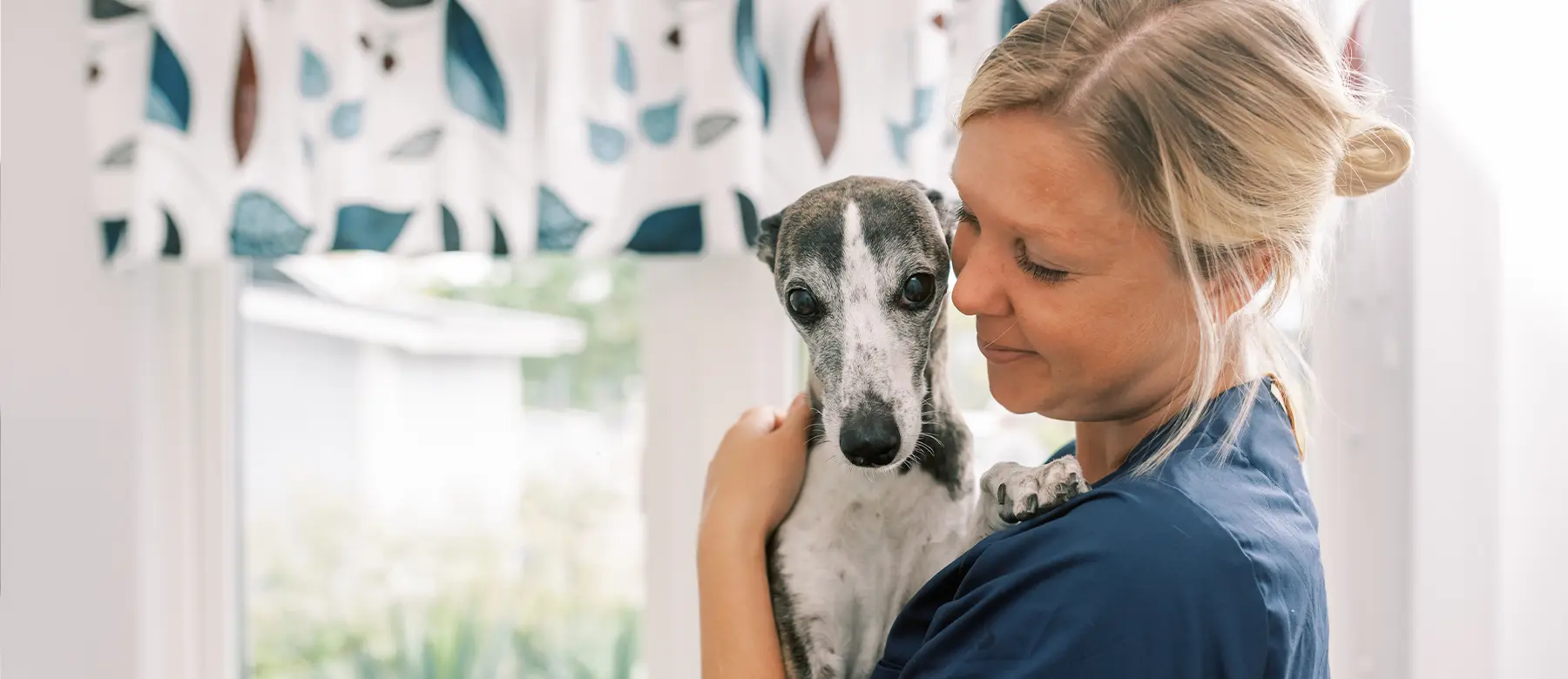 Boka tid online på Billdals Djurklinik