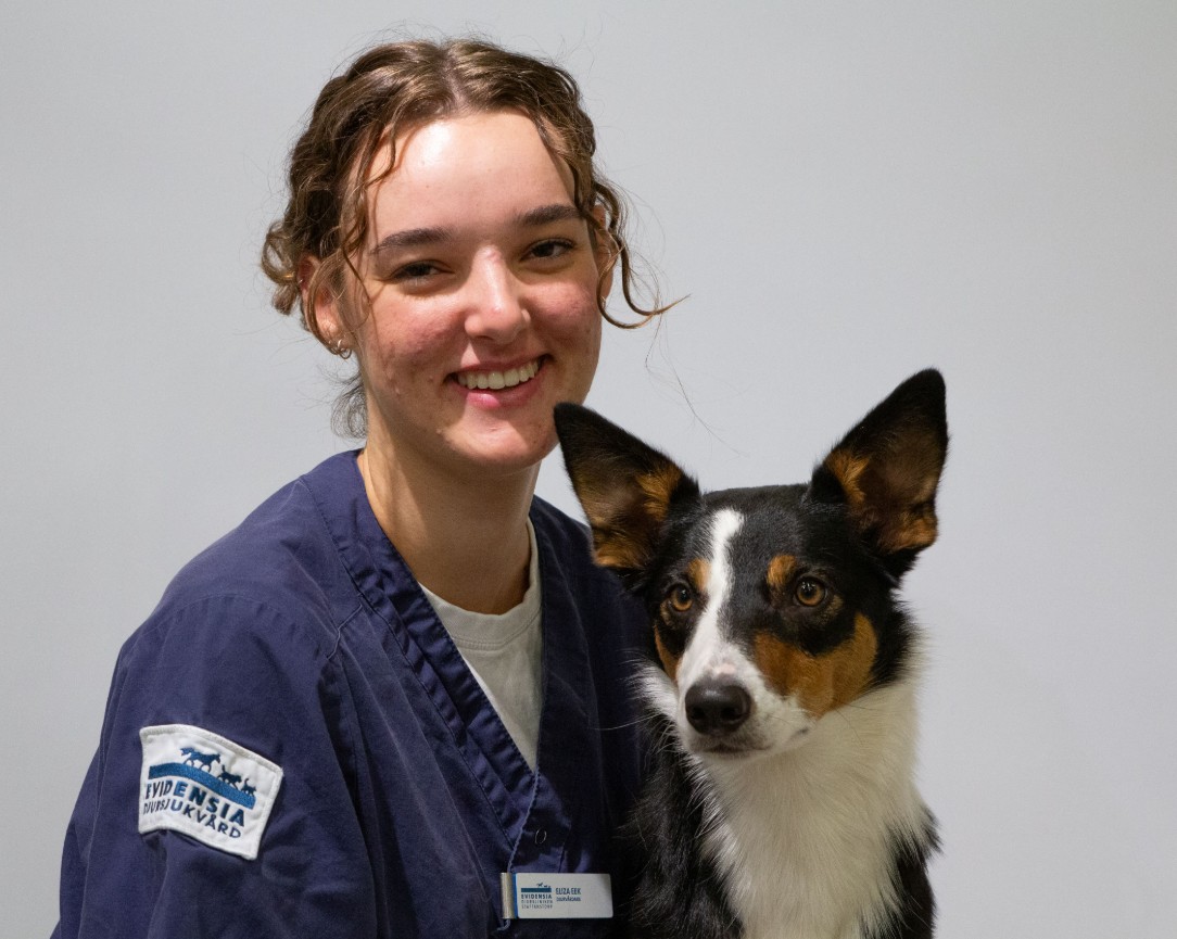 Eliza ler tillsammans med en hund i famnen