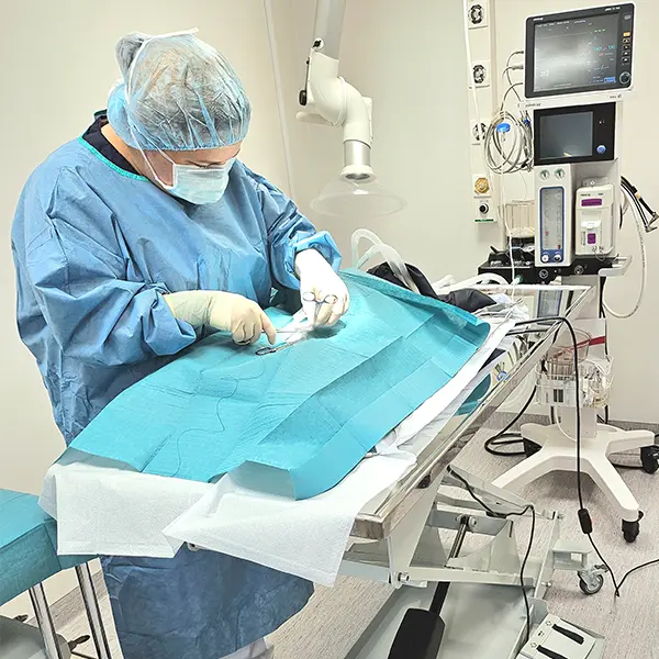 Veterinär Kristianstad