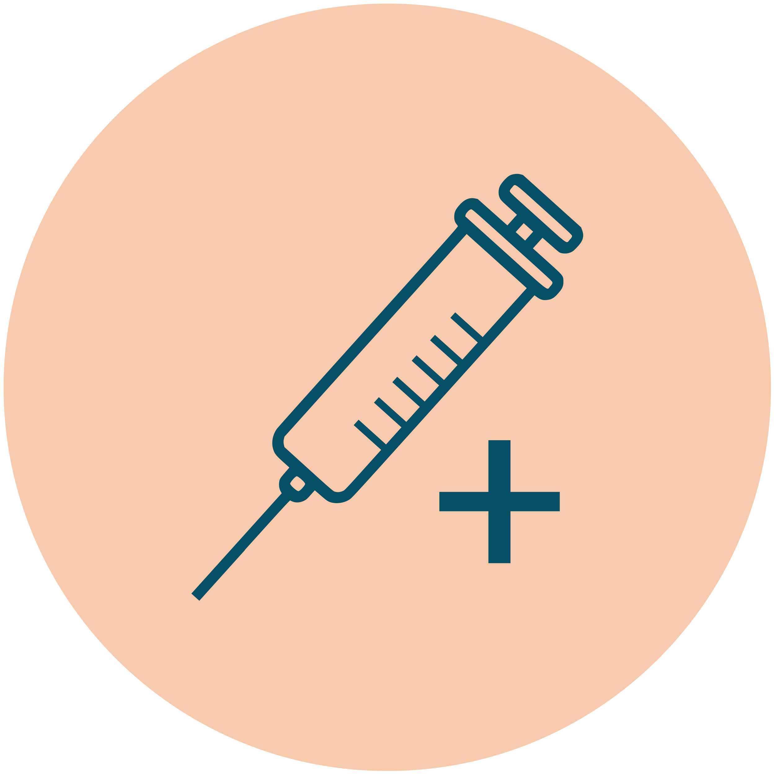 Svart labarador på en äng bland vitsippor