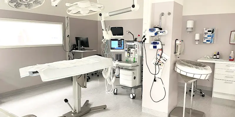 Operation, kirurgi, Djursjukhuset Sundsvall