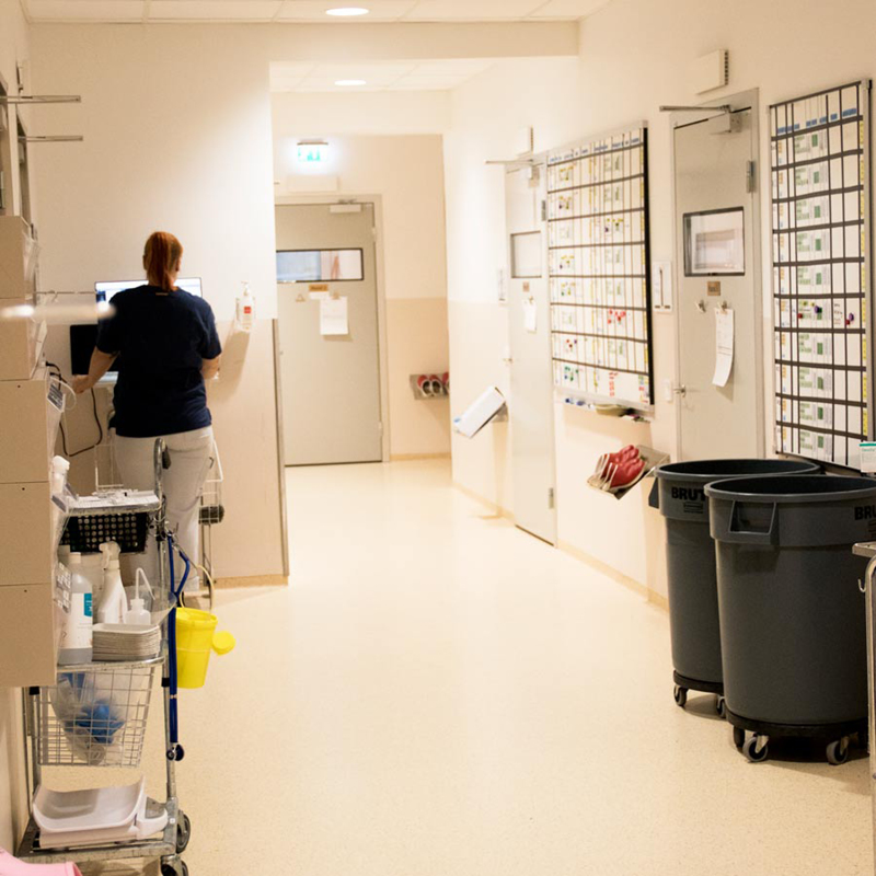 Vårdavdelning Evidensia Specialistdjursjukhuset Helsingborg